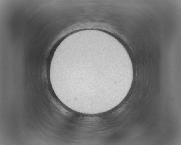 X0000073831498200609071501