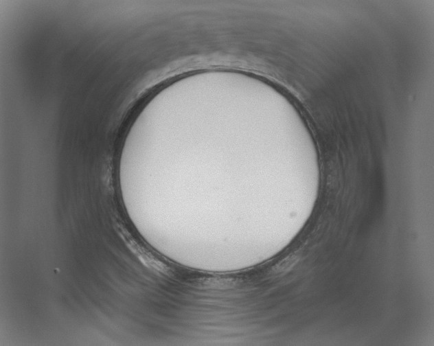 X0000073831499200609071501