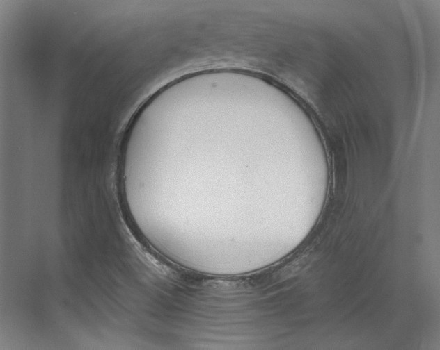 X0000073831500200609071501