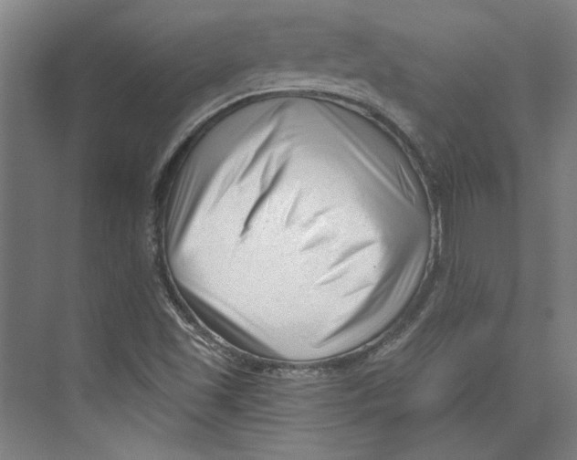 X0000073831501200609071501