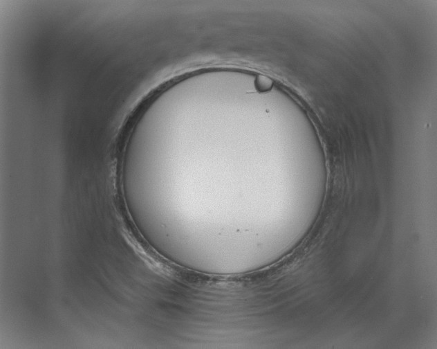 X0000073831503200609071501