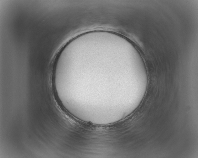 X0000073831504200609071501