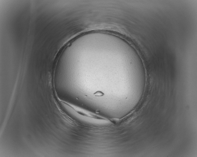 X0000073831505200609071501