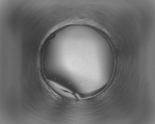 X0000073831506200609071501