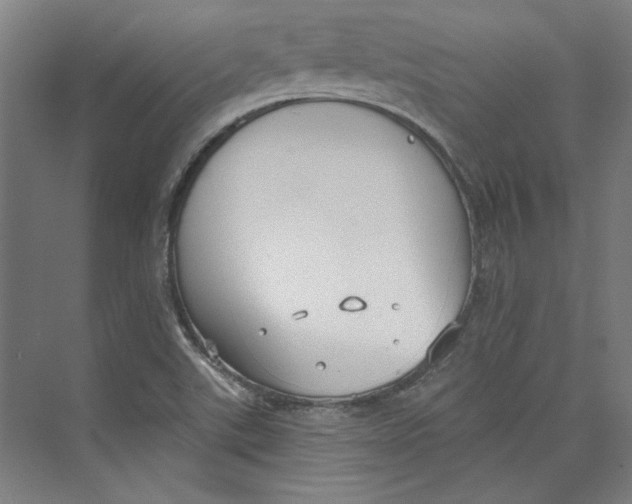 X0000073831507200609071501