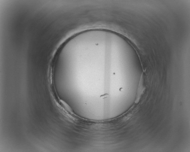 X0000073831510200609071501