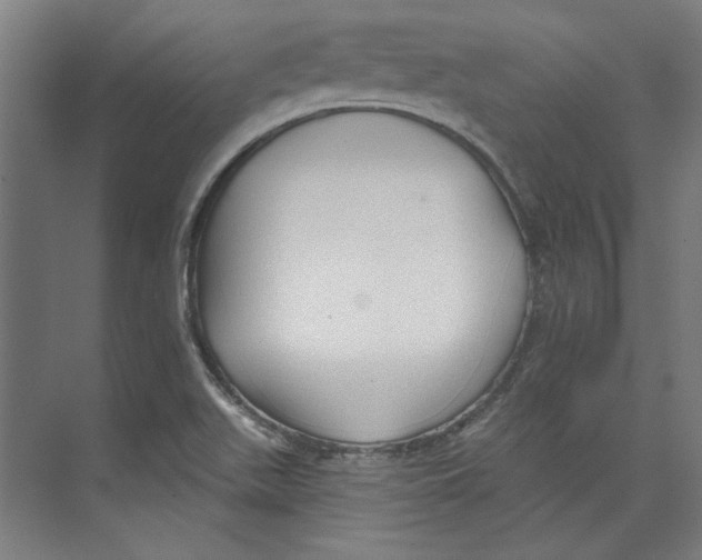 X0000073831511200609071501