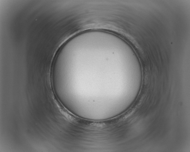 X0000073831513200609071501