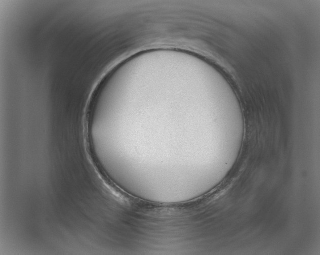 X0000073831517200609071501