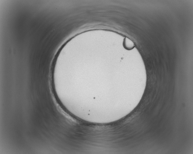 X0000073831518200609071501