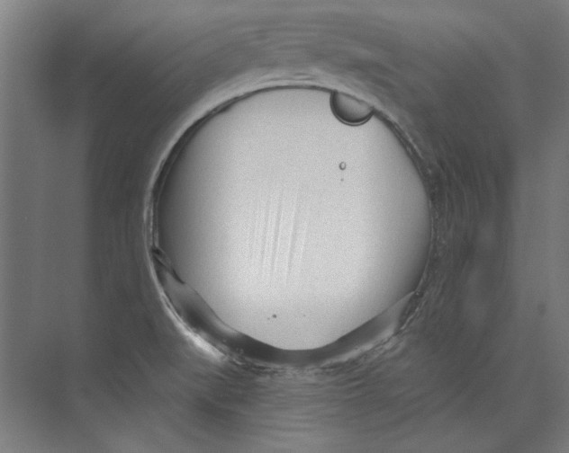 X0000073831519200609071501