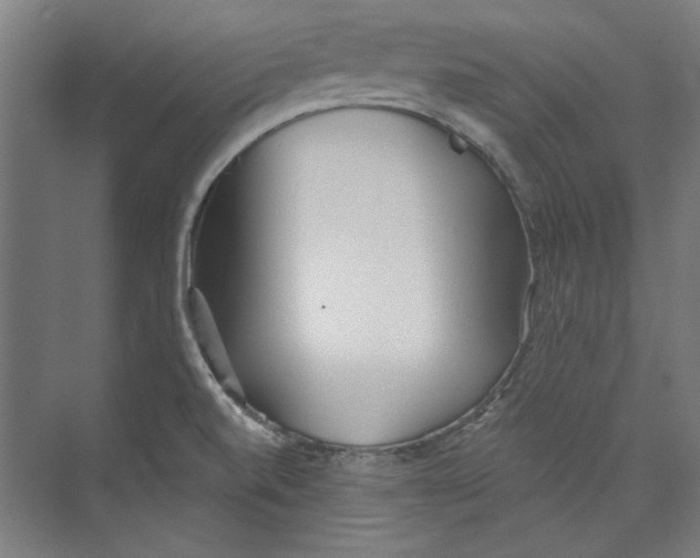 X0000073831520200609071501