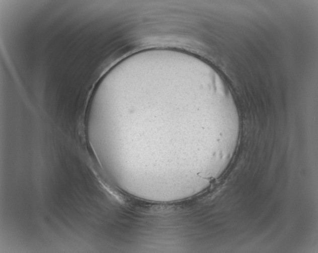 X0000073831521200609071501