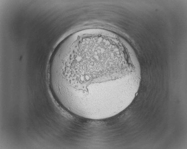 X0000073831522200609071501