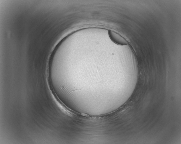 X0000073831523200609071501