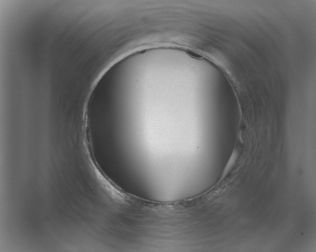 X0000073831524200609071501