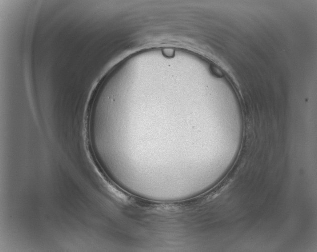 X0000073831525200609071501