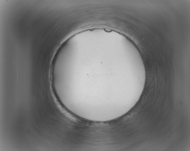 X0000073831526200609071501