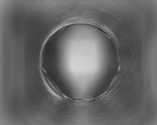 X0000073831528200609071502