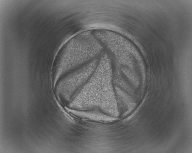 X0000073831529200609071502