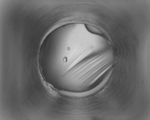 X0000073831530200609071502