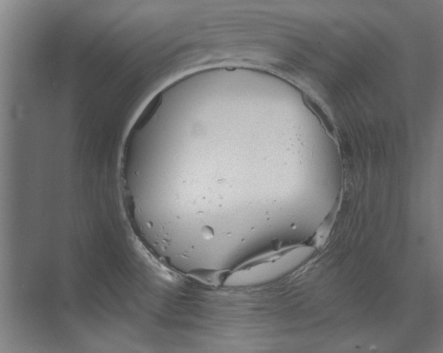 X0000073831532200609071502