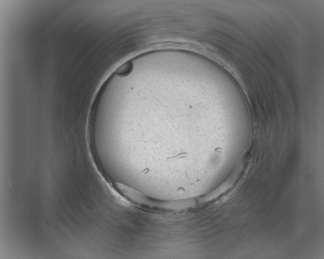 X0000073831533200609071502