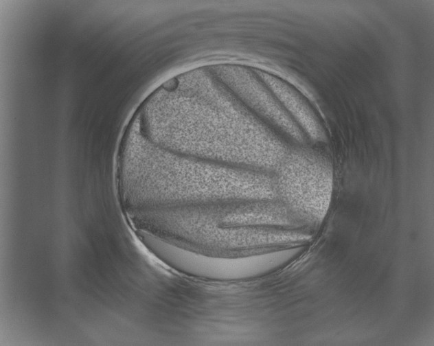 X0000073831535200609071502