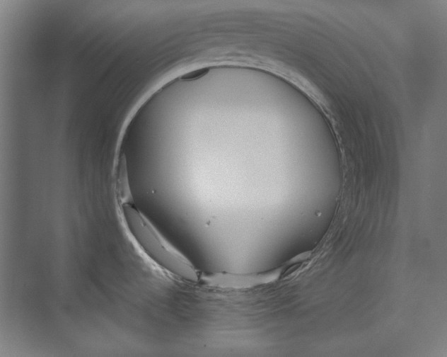 X0000073831536200609071502