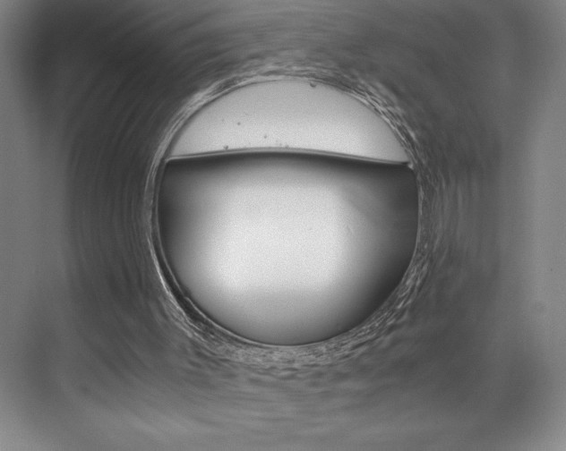 X0000073840003200608101039