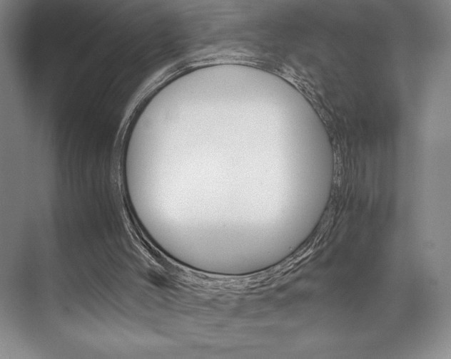 X0000073840004200608101039