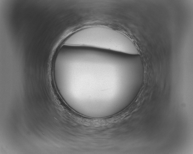 X0000073840006200608101039