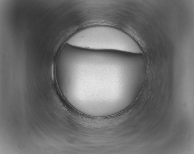 X0000073840014200608101039