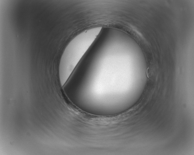 X0000073840025200608101039