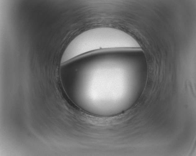 X0000073840035200608101039
