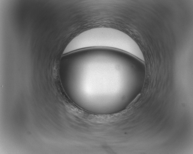 X0000073840037200608101039