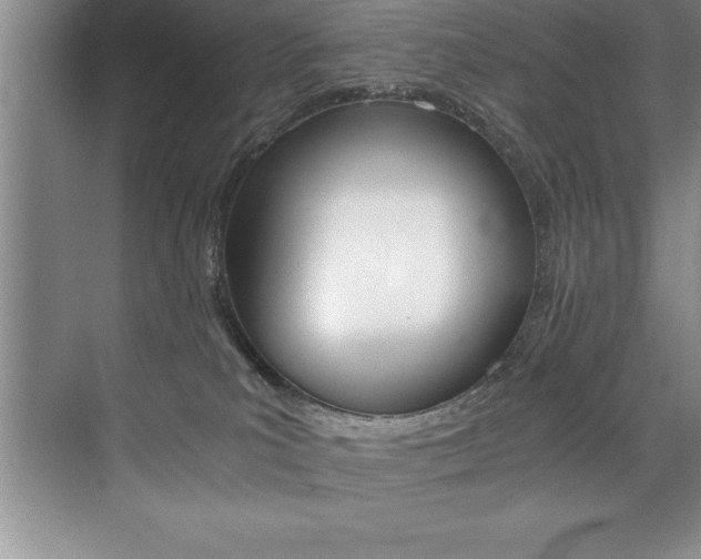 X0000073840039200608101039