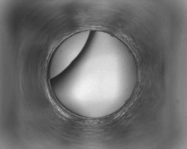 X0000073840049200608101038