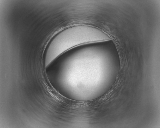 X0000073840050200608101038