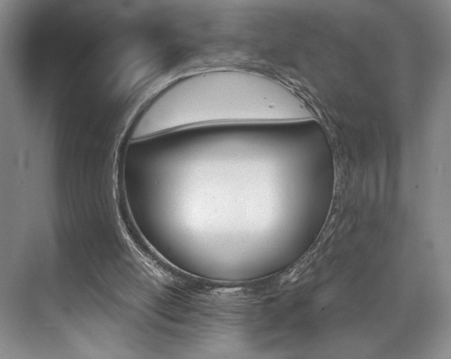 X0000073840054200608101038