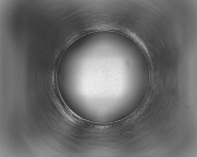 X0000073840057200608101038