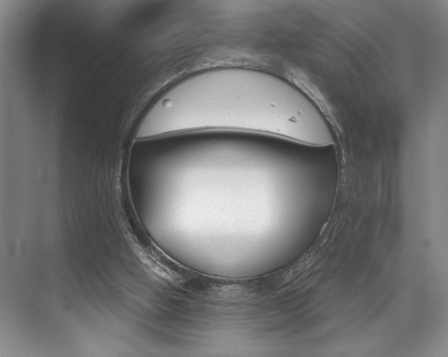 X0000073840058200608101038