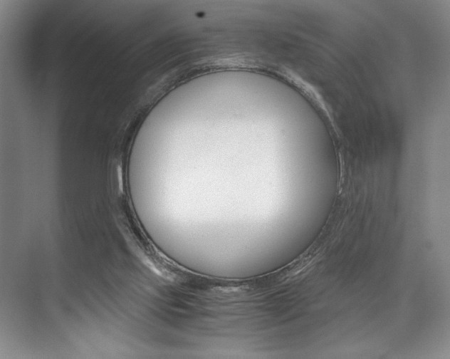 X0000073840061200608101038