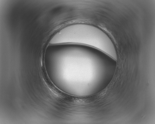 X0000073840062200608101038
