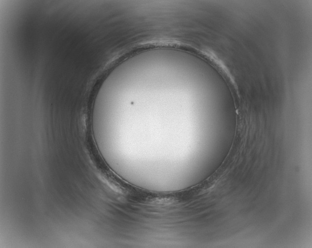 X0000073840063200608101038