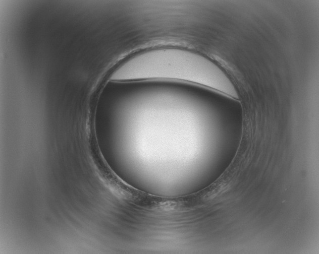 X0000073840064200608101038