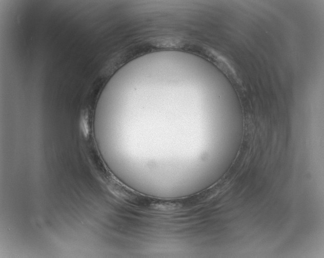 X0000073840069200608101038