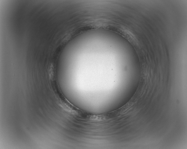 X0000073840077200608101038