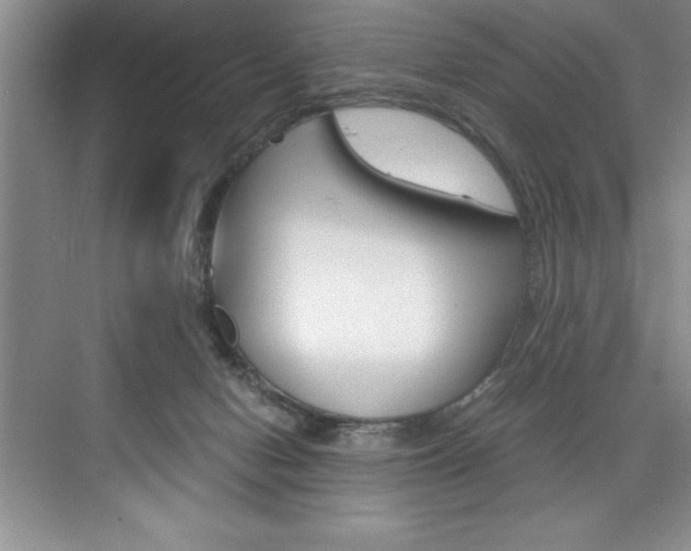 X0000073840078200608101038