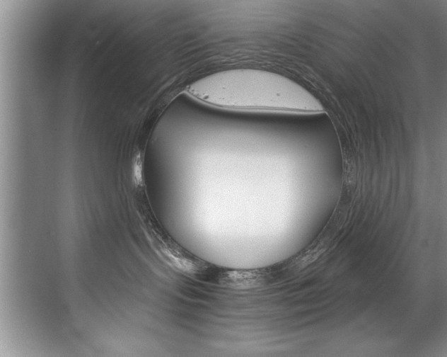 X0000073840095200608101038